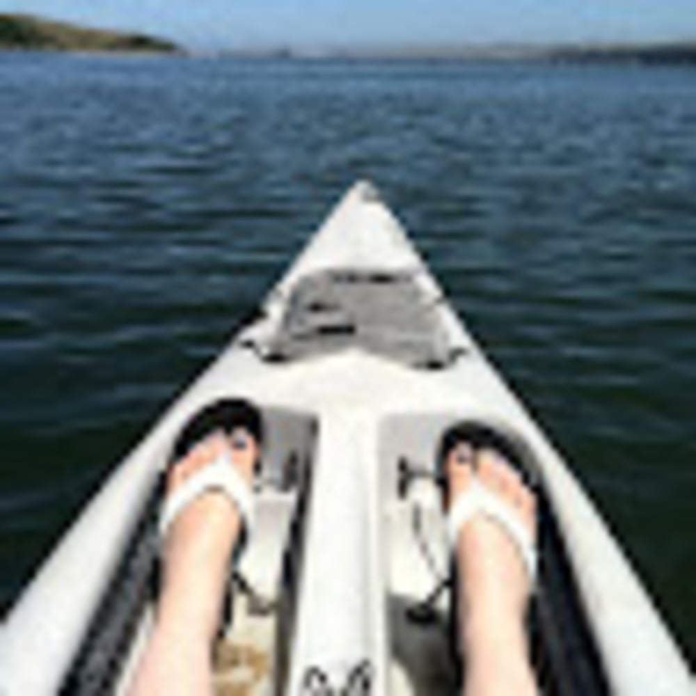 Meet your Posher, Annie